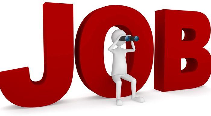 job search